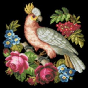 Cockatoo And Roses