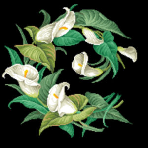 Hertz & Wegener Calla Lily Wreath