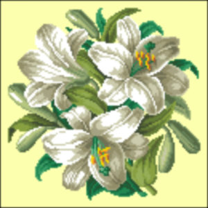 Hertz & Wegener Lilies
