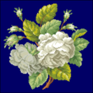 Louis Gluer Roses white