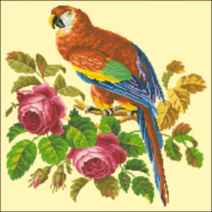Medium Parrot and Roses