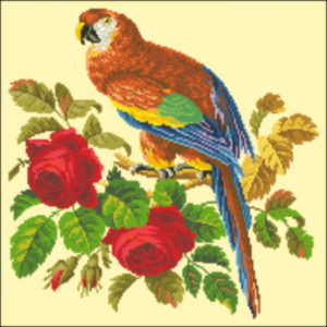 Medium Parrot and Roses- Red Roses