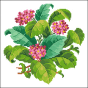 hydrangia bouquet