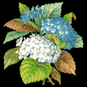 hydrangia bouquet Blue