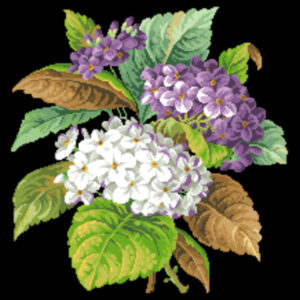 hydrangia bouquet Purple