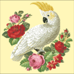 white cockatoo and roses original